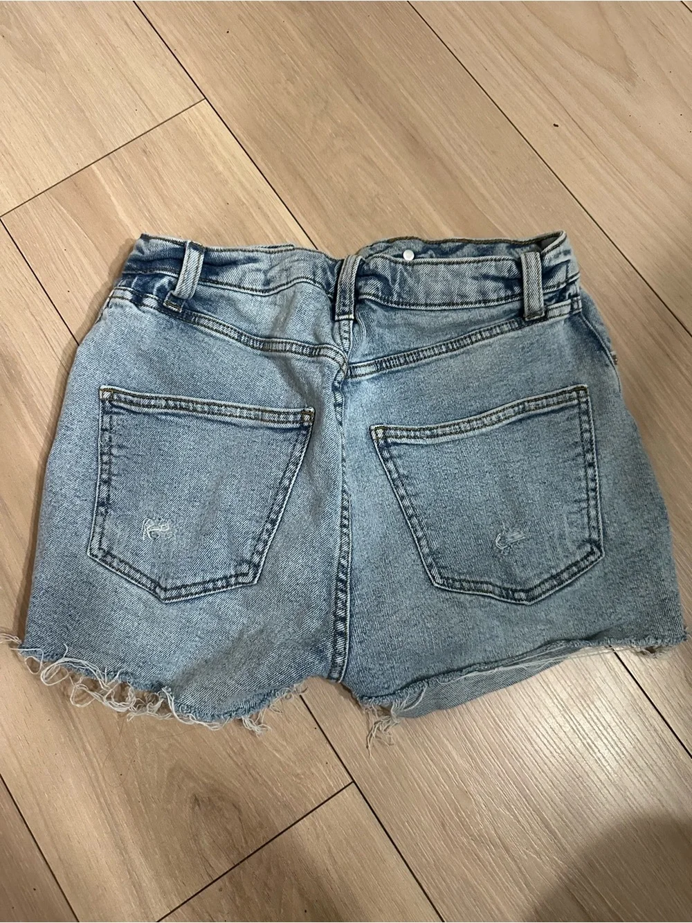 wild fable casual light